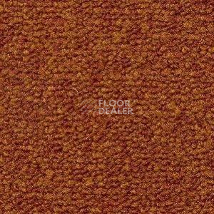 Ковролин Radici Trotter Aragosta 9463 фото 1 | FLOORDEALER